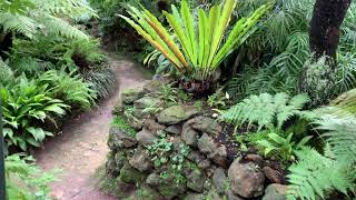 Rippon Lea Fernery 260620 [upl. by Nabi]