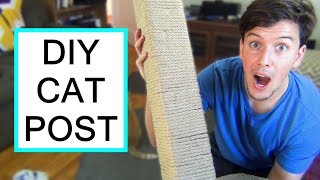 DIY Cat Scratching Post  TOUGH  DURABLE [upl. by Alleunam609]