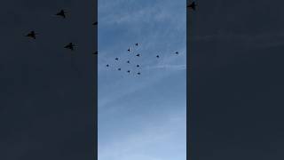 12 Jas 39 Gripen Christmas Tree formation [upl. by Schoening]