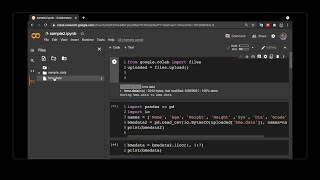 How to load a file in Google Colab [upl. by Oicnecserc974]