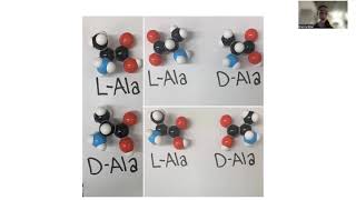 Alanine biochemistry  amino acid chirality alanine scanning glucosealanine cycle amp more [upl. by Caprice]