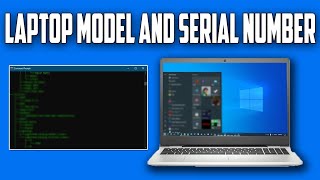 How To Find Your Laptop Model Number and Serial Number Using CMD [upl. by Solrac]