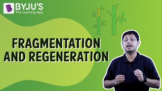 Fragmentation And Regeneration  Class 7  Learn With BYJUS [upl. by Hermosa]