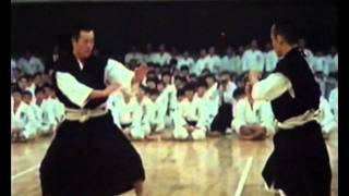 Demonstration Shorinji Kempo japon [upl. by Almeida]