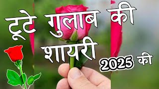 टूटे गुलाब की शायरी 2024 🌹Tute Gulab Ki Shayari 🌹 Gulab Shayari [upl. by Armillia]