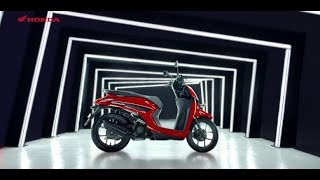 Video Product Honda Genio [upl. by Akceber123]