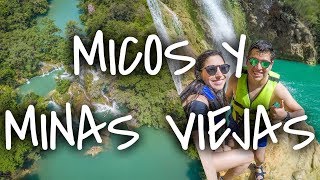 SALTAMOS DE 7 CASCADAS  MINAS VIEJAS Y MICOS  SIN POSTAL VLOG [upl. by Reichert425]