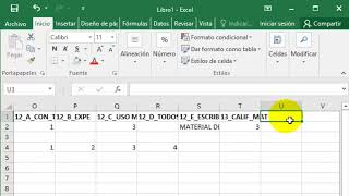 Cómo tabular una encuesta en excel  Aprende a tabular tus encuestas en excel [upl. by Ishmael]