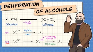 Dehydration of Alcohols Elimination Forms Alkenes [upl. by Vikki173]