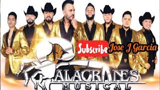 Alacranes Musical  Micaela audio [upl. by Nnyl]