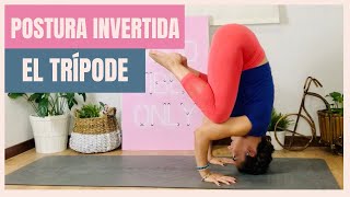 YOGA PARA PRINCIPIANTES  Posturas INVERTIDAS  EL TRÍPODE [upl. by Mcconaghy]