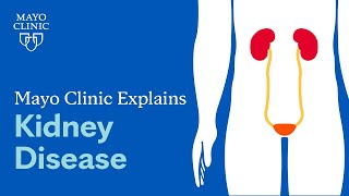 Mayo Clinic Explains Kidney Disease [upl. by Annoj252]