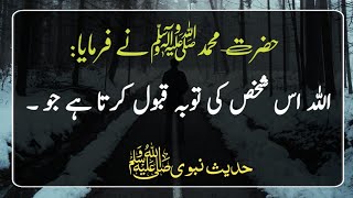 Hadees E Nabvi in urdu  Hadees Sharif  Hadees  Hadith  ISLAMIC HADEES Nabi ki baatein [upl. by Krishna]