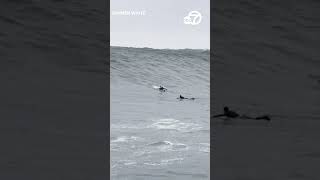 Huge waves at Mavericks Beach draw surfers from around the world [upl. by Nedia530]