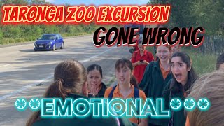 TARONGA ZOO EMOTIONAL [upl. by Ylle]