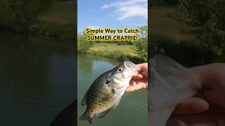 🔥Simple Technique To Catch HUGE Summer CRAPPIE🔥 [upl. by Acalia79]