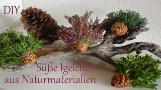 DIY Herbstdeko  Kleine Igelchen aus Naturmaterialien  Basteln mit Kindern  Just Deko [upl. by Felicie]