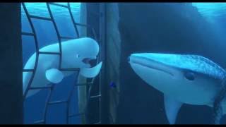 Finding Dory 2016 Official Clip Youre a Beluga [upl. by Meehahs]