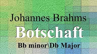 Botschaft  Johannes Brahms  accompaniment  Bb minorDb Major [upl. by Adalia699]