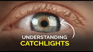 Understanding Catchlights  14 Days Of Filmschool [upl. by Doig]