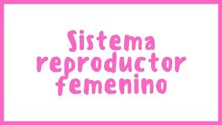 ANATOMÍA  Sistema reproductor femenino  Blasto Med [upl. by Lucilia54]