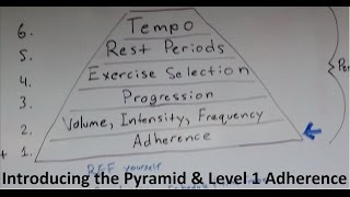 Muscle and Strength Training Pyramid Level 1 and intro [upl. by Gerson]