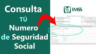 Como obtener tu NUMERO de SEGURO SOCIAL NSS para tramites [upl. by Aivil]