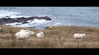 Sutherland  The Forgotten Corner of Britain [upl. by Jacinta]