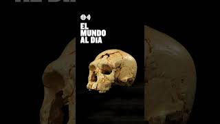 podcast Atapuerca ¿quiénes somos realmente atapuerca serhumano historia ciencia [upl. by Pik]