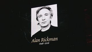 Potter cast remember Alan Rickman at A Celebration of Harry Potter [upl. by Oaoj743]