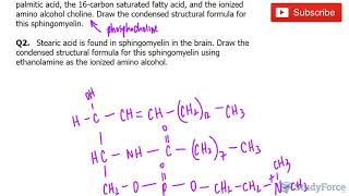 Drawing Sphingomyelin Structures [upl. by Salba]