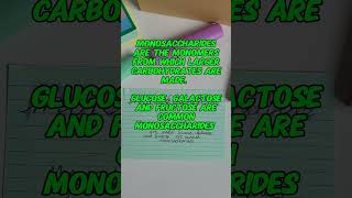 What are monosaccharides monomers monosaccharides freerevision flashcards primrosekitten [upl. by Luana539]