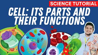 PARTS AND FUNCTIONS OF A CELL SCIENCE 7 QUARTER 2 MODULE 3 [upl. by Yeclek]