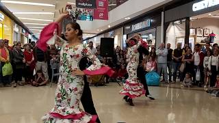 PasoDoble MANIZALES 170 AÑOS  Kambalache [upl. by Znerol176]