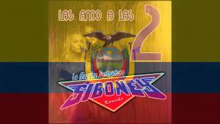 Las Amo Alas 2  Cumbia Ecuatoriana [upl. by Nonahs]