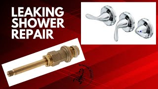 Shower valve amp handle replacement Easy beginners guide [upl. by Alodi]