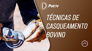 TÉCNICAS DE CASQUEAMENTO BOVINO [upl. by Sara913]