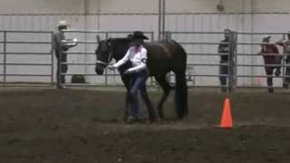 4H Western Horse Showmanship [upl. by Ul]