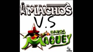 Banda Machos Vs Banda Maguey Quebraditas Mix Dj Scorpio [upl. by Pagas688]