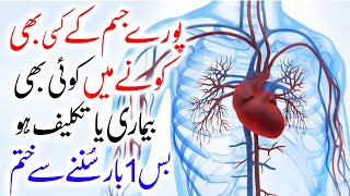 quotCure Any Illness with This Powerful Wazifa for All Diseasesquot  La Ilaj Bimari Se Shifa Ka Wazifa [upl. by Tiana]