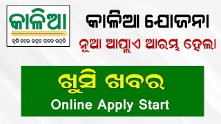 Kalia Yojana New Apply Start  Kalia Yojana New list 2023 Odisha  Kalia Yojana Online Apply [upl. by Annabal486]