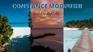 Constance Moofushi Snorkeling Highlights [upl. by Corso947]