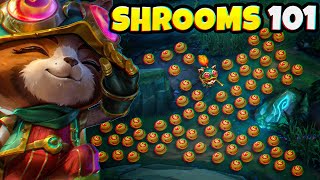 A GUIDE to EVERYTHING you need to know about TEEMO SHROOMS 🍄 [upl. by Eelyek]