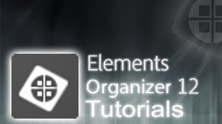 Elements Organizer  Complete and General Overview Tutorial [upl. by Corissa]