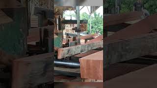 Meranti merah wood carpentry sawmillindonesia [upl. by Kathi]