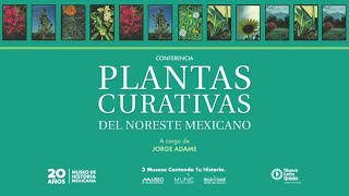 Plantas Curativas del Noreste Mexicano A cargo del Lic Jorge Adame [upl. by Rainah]