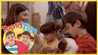 Topsy and Tim Pet Sitters Series 1 Episode 10 [upl. by Niassuh]