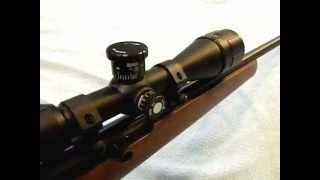 BSA Sweet 17 312x40mm  Best 17hmr Scope Under 80 at Sportsmans Guide [upl. by Clerk]