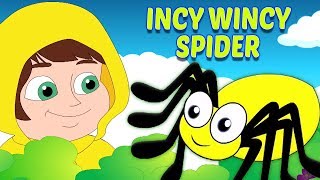 L’araignée Gypsie  comptines  rimes en français  Incy Wincy Spider  Baby Toons Network Française [upl. by Ayala]