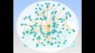 Micelle Formation Tutorials Online  Class 12 Science Meritnationcom [upl. by Ardnalac674]